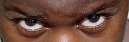 D01.jpg